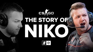 The Story of NiKo [upl. by Lesig249]