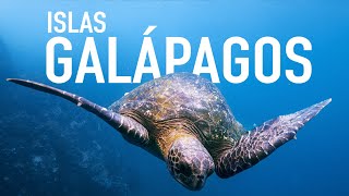 🐢 Descubre un destino único Las Islas Galápagos de Ecuador VIAJE ÉPICO [upl. by Nomyar]