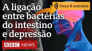 Como são as bactérias no intestino de quem tem depressão [upl. by Ailad]