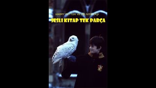 Harry Potter ve Felsefe Taşı  Tek Parça  En İyi Sesli Kitap [upl. by Latsyek62]