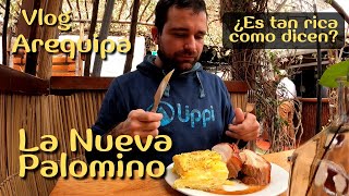 Vlog  La Nueva Palomino  Picantería de Arequipa [upl. by Leidag378]