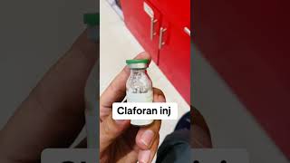 Claforan injection  Dose and sideffects  uses of claforan antibiotic  cefotaxime antibiotic [upl. by Jourdain931]