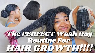 How To Quick Defined Wash N Go on Natural Hair [upl. by Cutlerr]