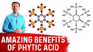 The Amazing Benefits of Phytic Acid – Dr Berg [upl. by Annaiek]