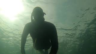 Snorkeling in north Scotland Crystal clear water [upl. by Dazraf852]