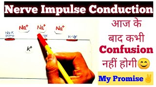 quotNerve Impulse Conductionquot हमेशा के लिए CONFUSION दूर🔥 Easiest Explaination😎 Neet Confusion Series [upl. by Ydnyc830]