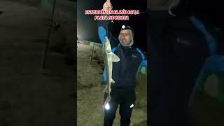 ESTURIÓN RÍO DE LA PLATA fishing fish argentina fishingvideo amigos pesca pescaria caviar [upl. by Haroun]