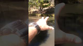 What can I do to improve my Dam Water Quality and Clarity Shorts [upl. by Bosch]