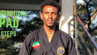 ለፕራክቲስ የሚሆኑ የ ፓድ እስቴፖች  Pad steps for practice  Taekwondo  Ethiopia [upl. by Anin]