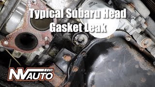 How to diagnose a external Subaru head gasket leak [upl. by Libbie754]