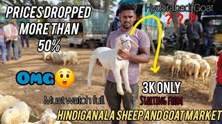 Hindiganala Sheep and Goat market  Hcross market  high downfall in price full details video [upl. by Tirzah540]