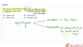 The pyruvic acid formed in Glycolysis is oxidised to CO2 and H2O in a cycle called [upl. by Ahslek695]