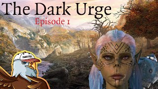 DARK URGE LETS PLAY BEGINS BALDURS GATE 3 TACTICIAN PLAYTHROUGH EP 1 [upl. by Notfilc]