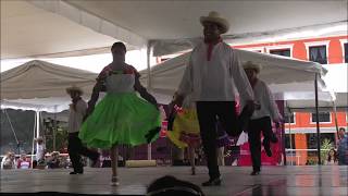 LA SIRENA DEL AMOR  Huapango  Festival nacional del Huapango 2018 [upl. by Deering373]