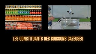 LES CONSTITUANTS DES BOISSONS GAZEUSES 5ème [upl. by Hnoj616]