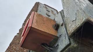 Willington Level Crossing Derbyshire 02112024 [upl. by Anatol]