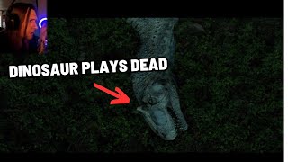 Playful Allosaurus Pretends to Be Dead Too🦖💀  quotCamp Curiousquot JURASSIC PARK HORROR SHORT FILM [upl. by Kreg]