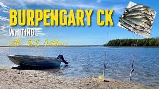 Fishing for Whiting in Burpengary Creek [upl. by Ahsemad]