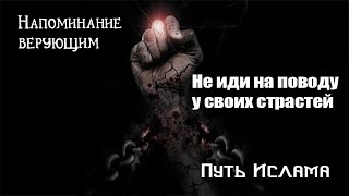 Не иди на поводу у своих страстей  Путь Ислама [upl. by Ilanos]