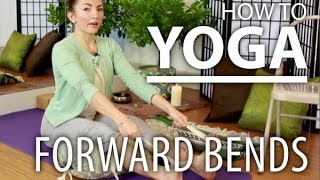 Yoga for Beginners  Improve Your Forward Bending by Stretching with Props [upl. by Ulyram]