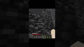 Watch Until The End shorts minecraft [upl. by Atnomed]