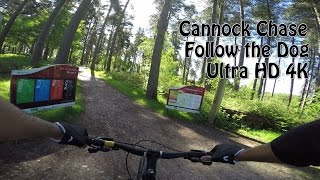 4K Cannock Chase  Follow the Dog  Full Trail [upl. by Nuhsar]