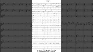 quotLArlésienne  Farandolequot by Georges Bizet for concert band [upl. by Nnaeiram864]