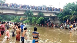 ADA YANG ANEH DI SUNGAI INI SEMUA IKAN UKURANNYA BESARBESAR SEMUA [upl. by Pickard459]