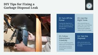 Kitchen Sink Garbage Disposal Leaking Top Solutions and Tips to Fix It Now [upl. by Lynelle]