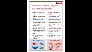 Difference between oviparous and viviparous animals [upl. by Jodoin383]