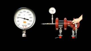 Victaulic Style 31 Coupling vs Flange  Pressure Test [upl. by Nnazus]