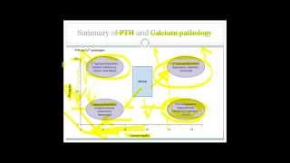 Hypoparathyroidism and hyperparathyroidism for USMLE step 1 [upl. by Haiacim]