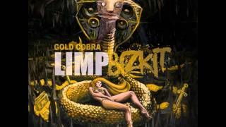 Limp Bizkit  Shark Attack Gold Cobra 2011 HDHQ [upl. by Oicnedurp228]