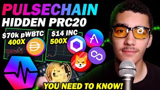 Hidden PRC20 Gems that will 400x PulseChain Part 2 [upl. by Neerol]