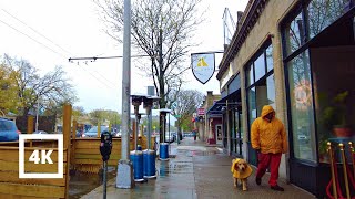 4K Walking in Rain from Porter Square to Harvard University  Spring Rain  Cambridge Boston [upl. by Yanel]