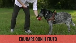 Educare con il fiuto ricerca olfattiva [upl. by Derek]