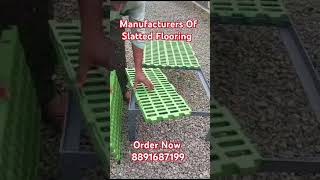 Installation Demo Video Of Goat Slatted FloorHow to Install Slatted Flooring Mats in Goat Farm [upl. by Pierce57]