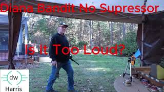 Diana Bandit Loudness No Silencer Plus JSB 1813 vs Crosman 19 Grain Pellets [upl. by Ahsiliw135]