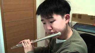 Nausicaa of the Valley of the Wind  Japanese anime song flute cover [upl. by Hernardo]