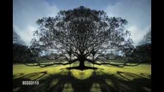 Abraham Hicks 💖🎶  NOW We Are Free 🙏✨🥰 [upl. by Alford]