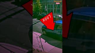 Man Stabbed Outside My House Caught On Ring Camera shorts [upl. by Ardnaxila]