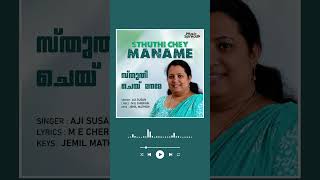 Sthuthi Chey Maname  സ്തുതി ചെയ് മനമേ  Malayalam Christian Song  Lyric Video  Music Spread [upl. by Ojahtnamas]