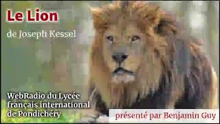 Le Lion de Joseph Kessel [upl. by Eatnahc]