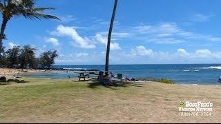 Poipu Beach Snorkeling with Boss Frogs [upl. by Anrahs]