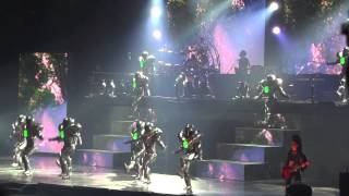 CIRQUE DU SOLEIL  Michael Jackson  They Dont Care About Us Vienna 2122012 [upl. by Willcox101]