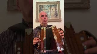 Valseclog la lancette Mélodie A 18 Cajun Accordion Martin lygeros music accordion [upl. by Obla]