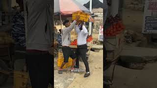 Luxury tomatoes seller shorts shortsvideo [upl. by Irakuy243]