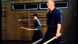 Two Swords Technique  Tenshinshoden Katori Shinto ryu [upl. by Deeas243]