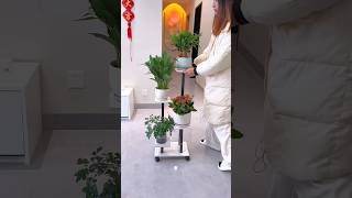 Flower pot stand 🤩 shorts youtubeshorts homedecor [upl. by Esinned]