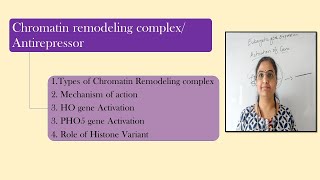 Chromatin remodeling complexesAntirepressor HO gene amp PHO5 gene Activation [upl. by Laflam]